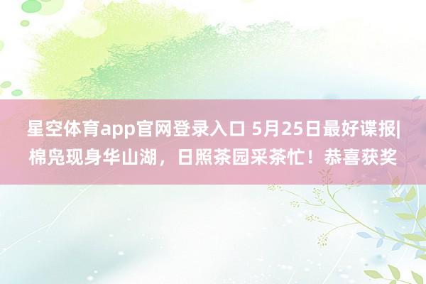 星空体育app官网登录入口 5月25日最好谍报|棉凫现身华山湖,日照茶园采茶忙!恭喜获奖
