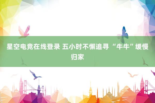 星空电竞在线登录 五小时不懈追寻 “牛牛”缓慢归家