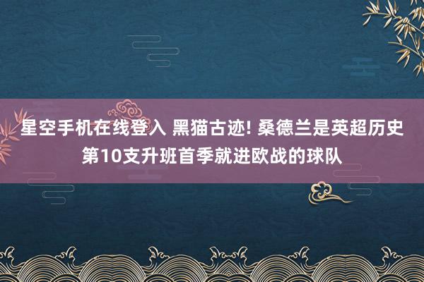 星空手机在线登入 黑猫古迹! 桑德兰是英超历史第10支升班首季就进欧战的球队