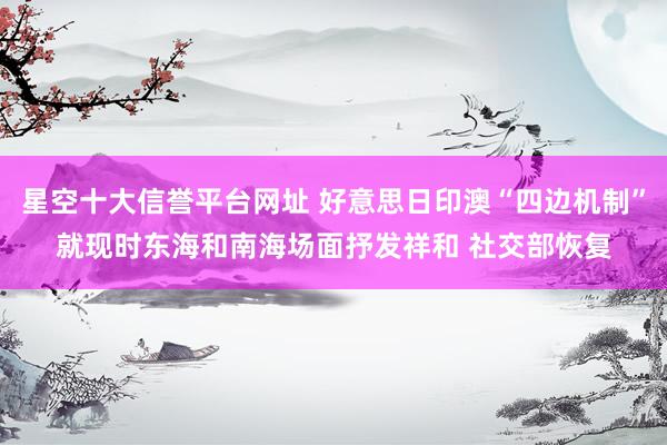 星空十大信誉平台网址 好意思日印澳“四边机制”就现时东海和南海场面抒发祥和 社交部恢复