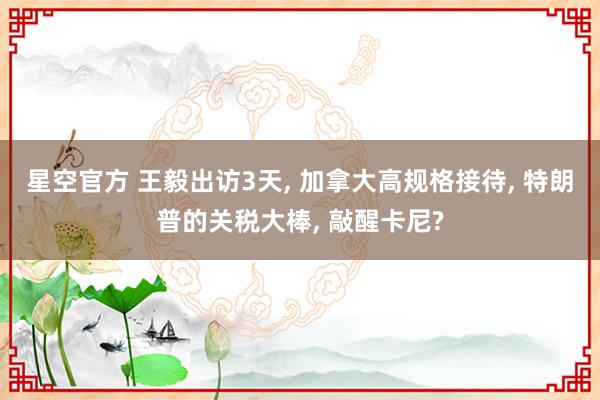 星空官方 王毅出访3天, 加拿大高规格接待, 特朗普的关税大棒, 敲醒卡尼?