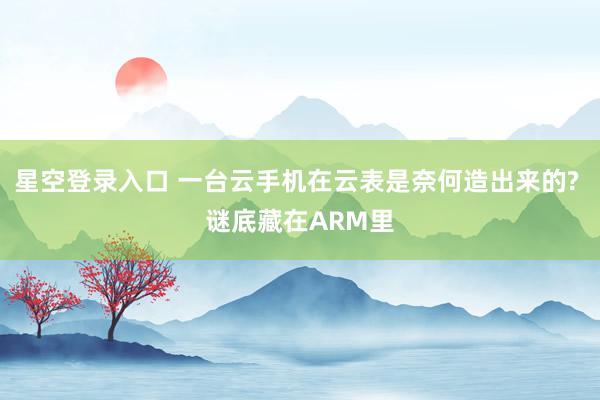 星空登录入口 一台云手机在云表是奈何造出来的? 谜底藏在ARM里