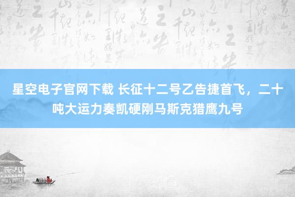 星空电子官网下载 长征十二号乙告捷首飞,二十吨大运力奏凯硬刚马斯克猎鹰九号