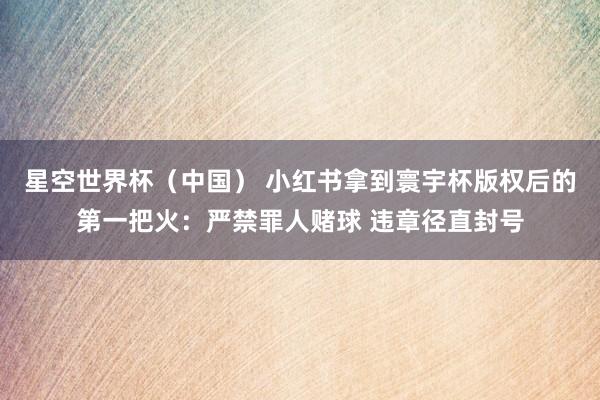 星空世界杯(中国) 小红书拿到寰宇杯版权后的第一把火:严禁罪人赌球 违章径直封号