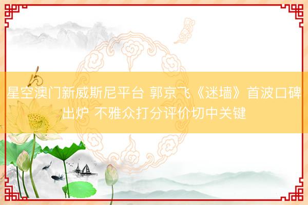 星空澳门新威斯尼平台 郭京飞《迷墙》首波口碑出炉 不雅众打分评价切中关键
