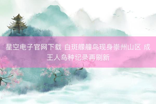 星空电子官网下载 白斑艨艟鸟现身崇州山区 成王人鸟种纪录再刷新