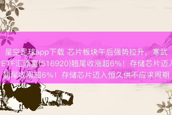 星空足球app下载 芯片板块午后强势拉升,寒武纪大涨超7%!芯片ETF汇添富(516920)翘尾收涨超6%!存储芯片迈入恒久供不应求周期
