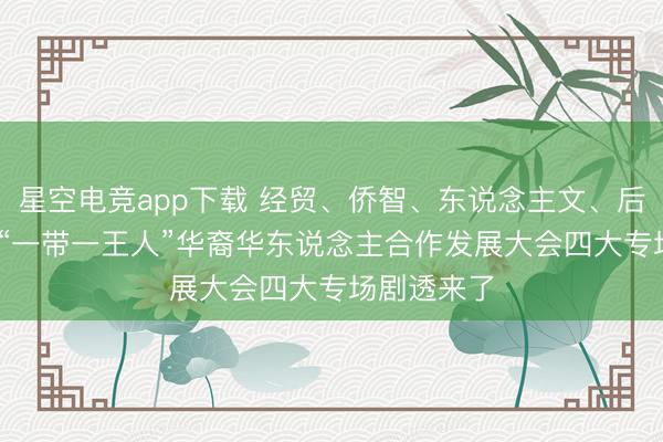 星空电竞app下载 经贸、侨智、东说念主文、后生!2026“一带一王人”华裔华东说念主合作发展大会四大专场剧透来了