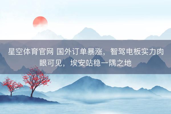 星空体育官网 国外订单暴涨,智驾电板实力肉眼可见,埃安站稳一隅之地
